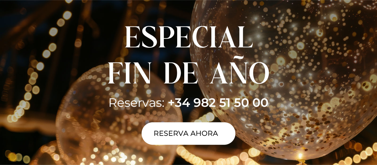 Especial Fin de Año