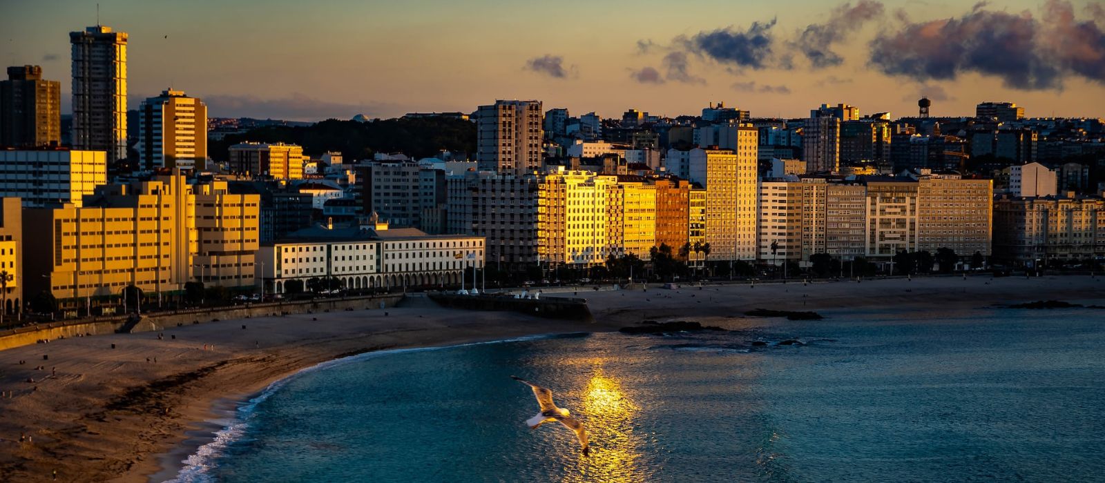 que ver en coruña en un día