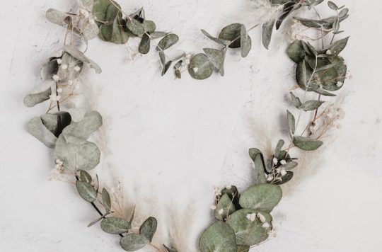 san-valentin-vigo-attica21