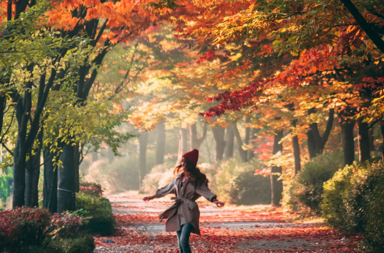 oferta otoño coruña