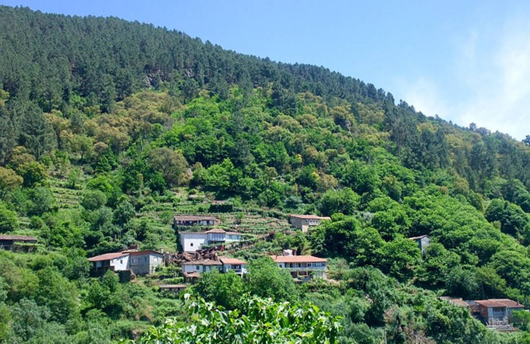 Entorno natural tranquilo con viviendas entre colinas verdes.