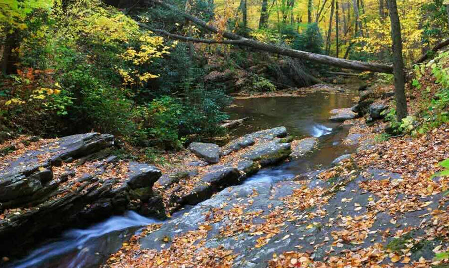 Entorno natural y tranquilo en Vilalba.