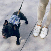 Escapada Pet Friendly